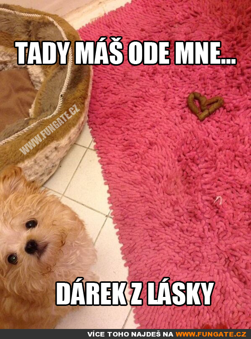  Dárek z lásky 