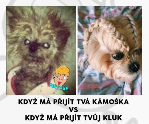  Tvá kámoška 