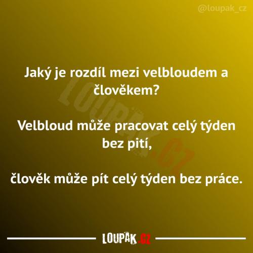  Člověk to má trošku jinak nastavené 