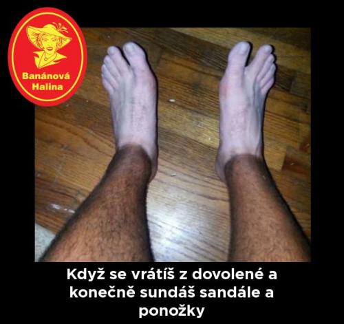 Dovoelná