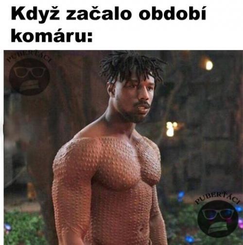  Komár 