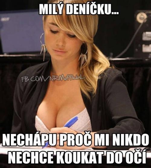 Deníčku