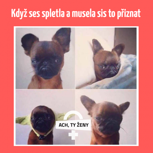 Přiznat se