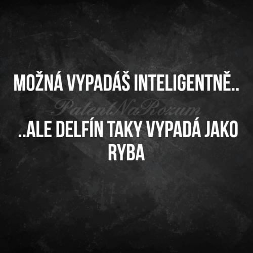 Inteligentně