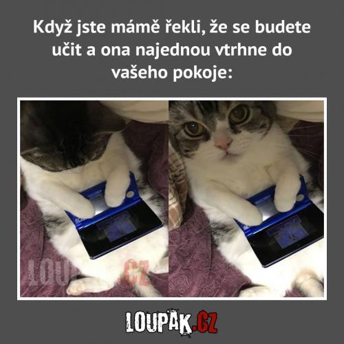  Máma v pokoji 