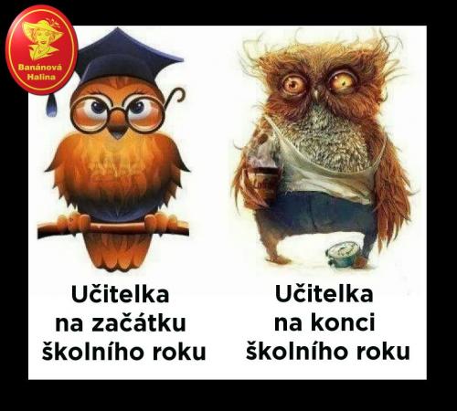  Učitelka 