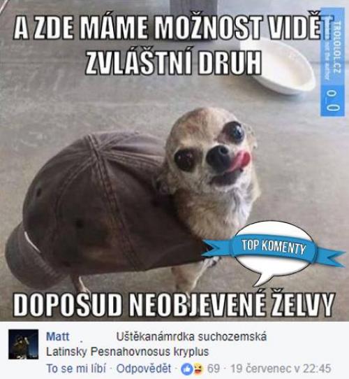  Zde máme 