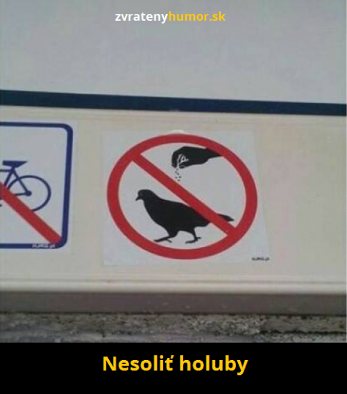 Nesol holuby