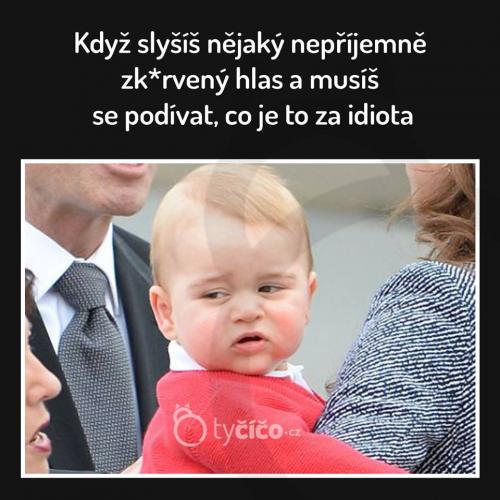 Co je to za idiota
