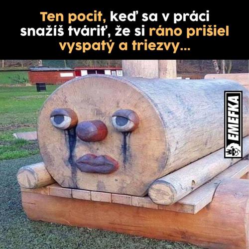 Vyspi se