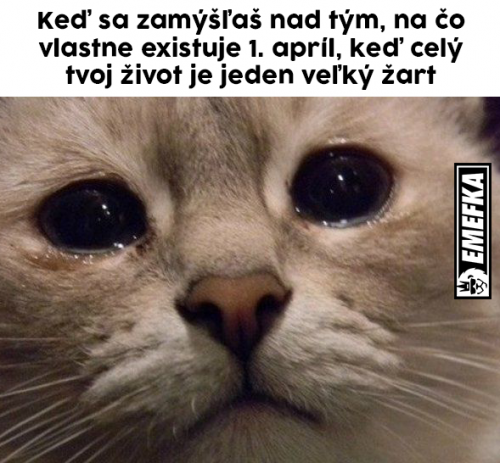  Myšlenky 