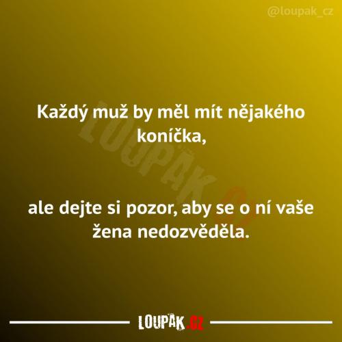  Každý by měl mít koníčka 