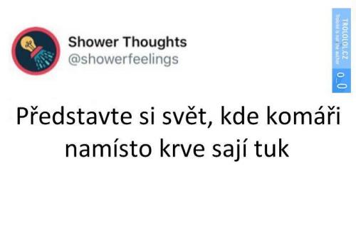  Svět 