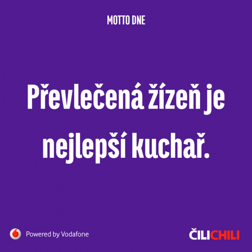 Převlečená