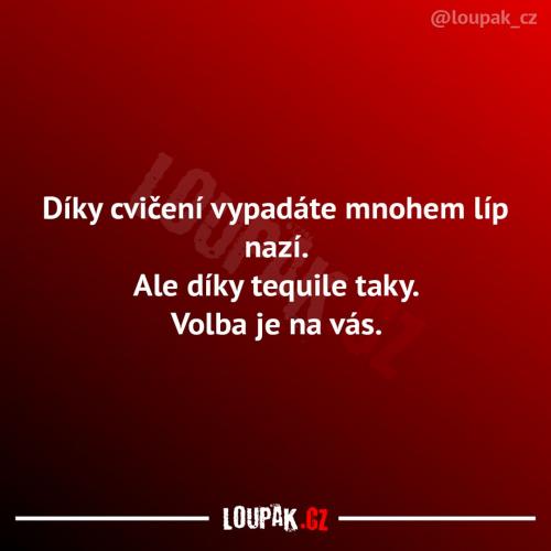  Cvičení 