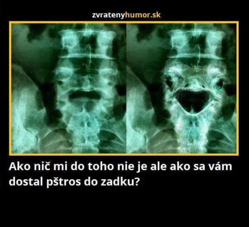 Pšstros