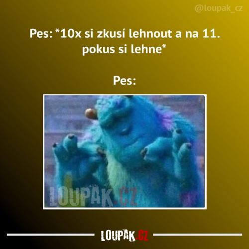  Konečně se mu to podařilo 