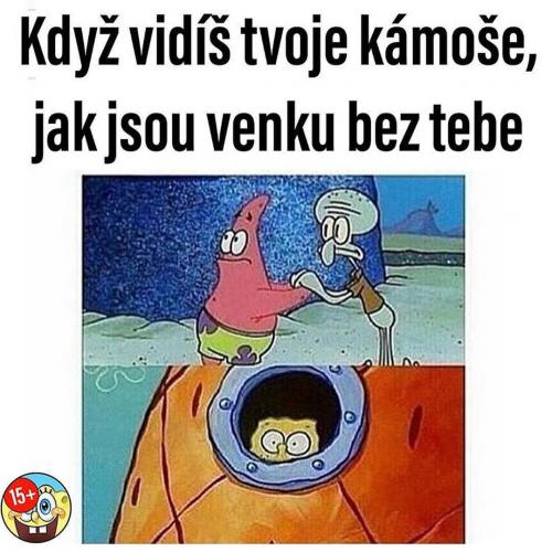  Kamarádi 