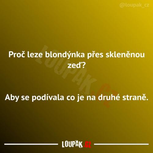  Je tam opravdu zajímavý důvod 