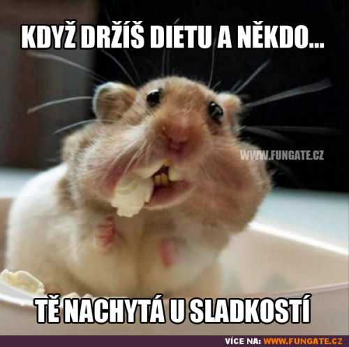 Dietka