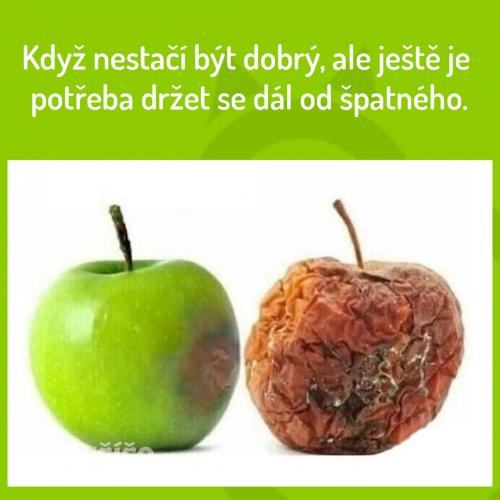  Dobrý 