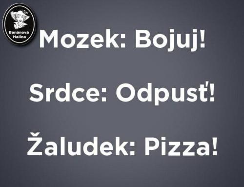  Mozek 