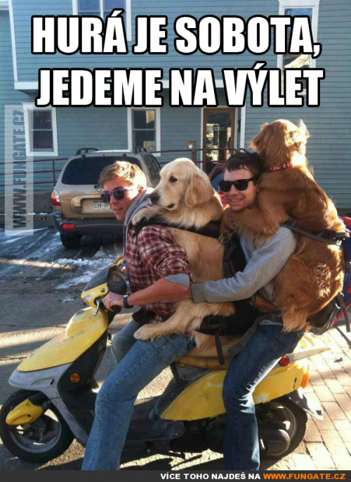  Výlet 