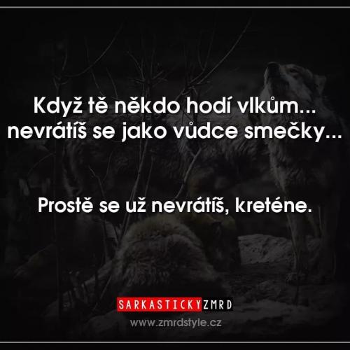  Návrat 