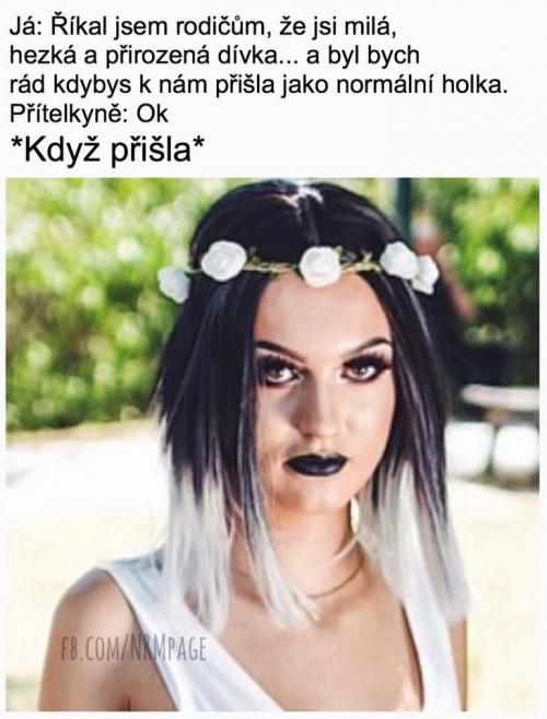  Dívka 