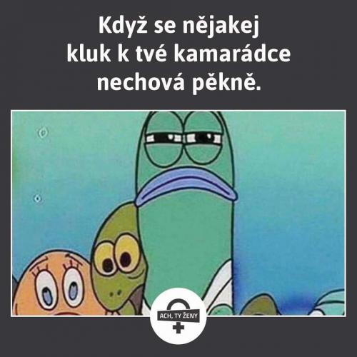 Co děláš!