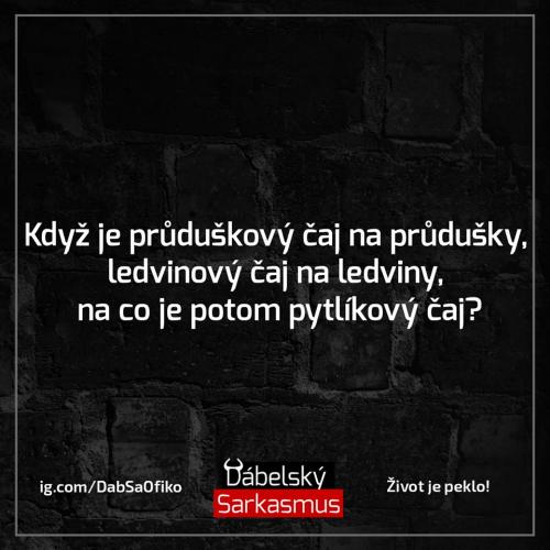 Průdušky