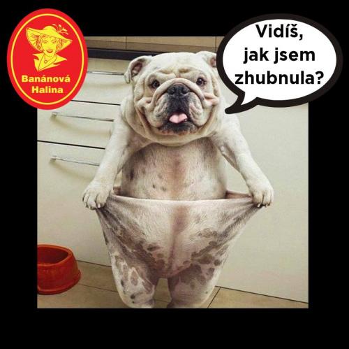 Zhubnula