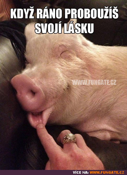  Moje láska 