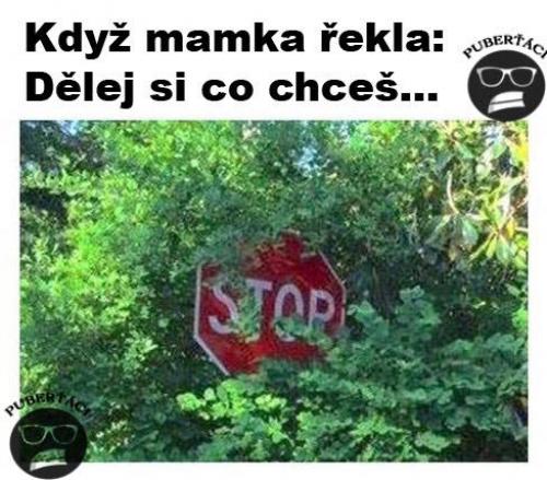  Dělej si co chceš 