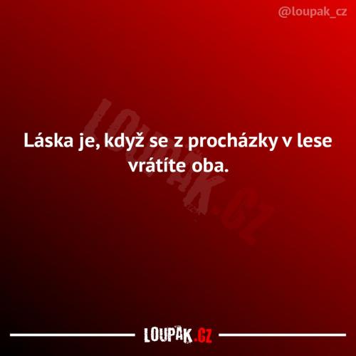  Tak tohle je láska 