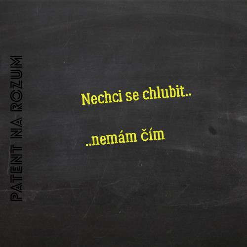Nechci se chlubit