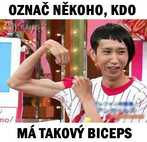  Biceps 