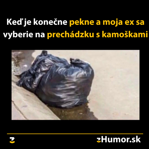  Moje ex 