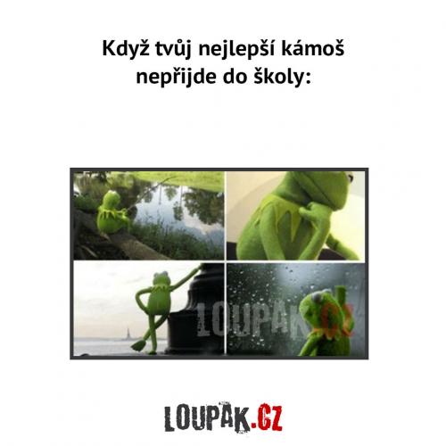  Nejlepší kámoš 