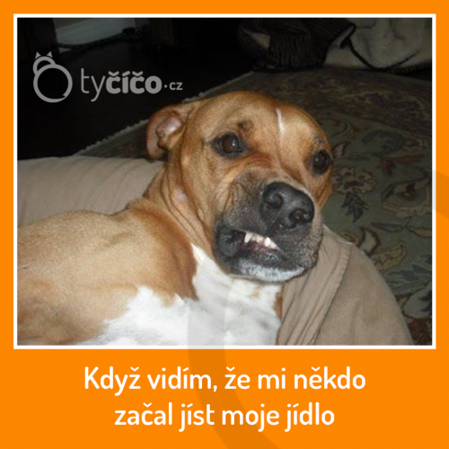  Moje jídlo 