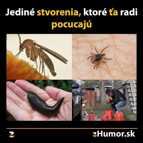 Nacucnutí