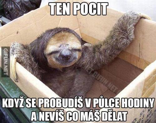  Probuzení 