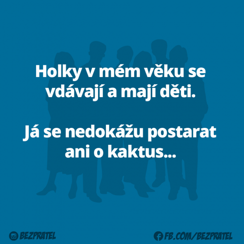  Holky 