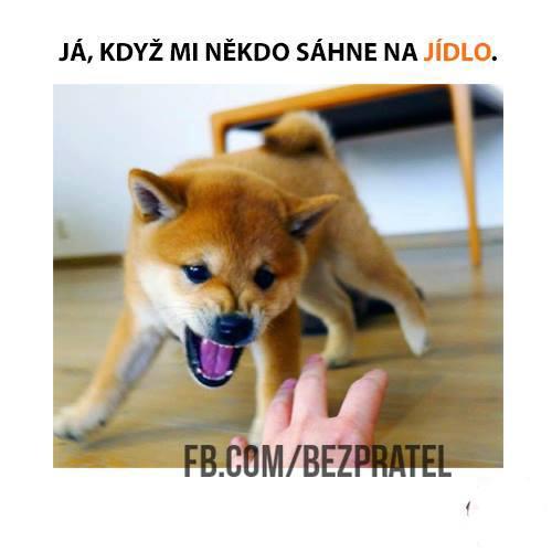 Jídlooo