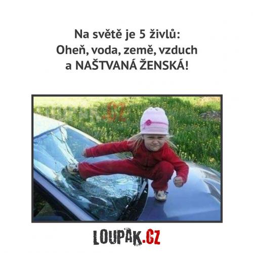 Žena