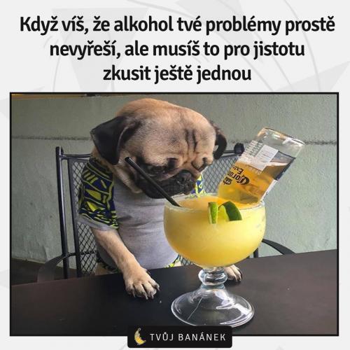  Ještě jednou 