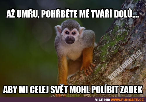 Až zmřu