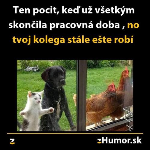  Kámoš 