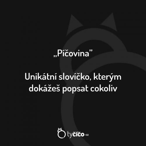 Píčovna