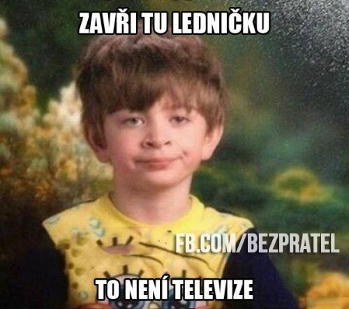  Lednička 